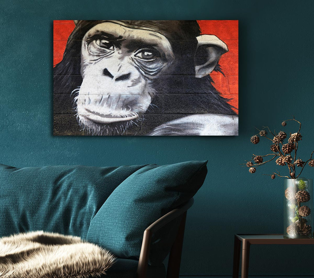 Picture of The Chimp On Red Canvas Print Wall Art