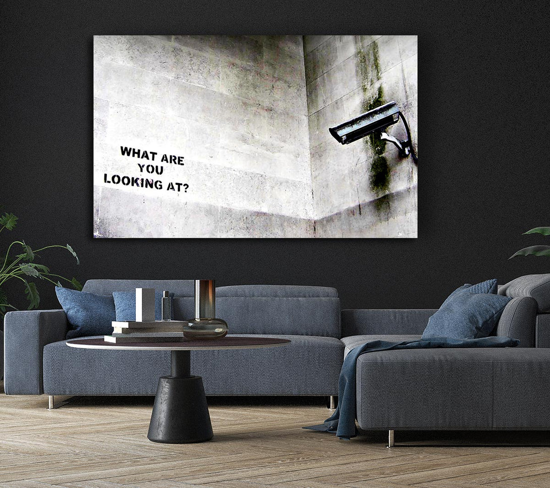 Picture of What Are You Looking At Canvas Print Wall Art