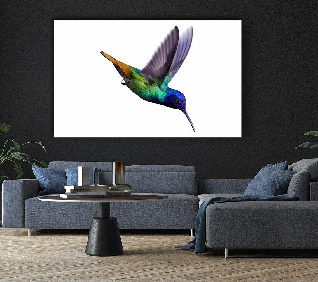  A Canvas Print of Hummingbird Colours Canvas Wall Art