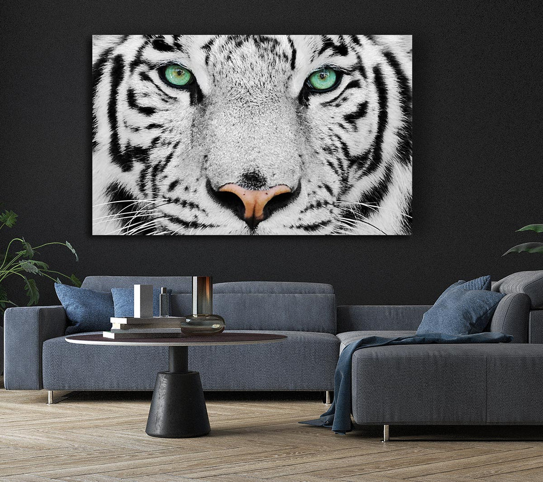 Picture of Green Eyed White Tiger Canvas Print Wall Art