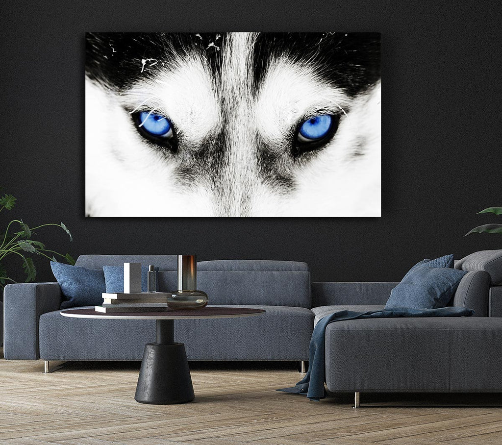 Picture of Husky Dog Blues Canvas Print Wall Art