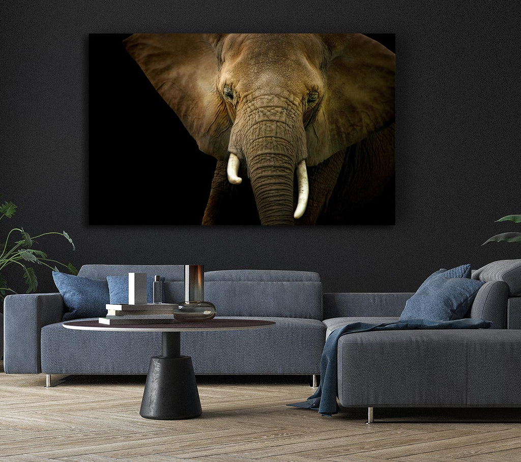 Picture of Stunning Elephant Face Canvas Print Wall Art