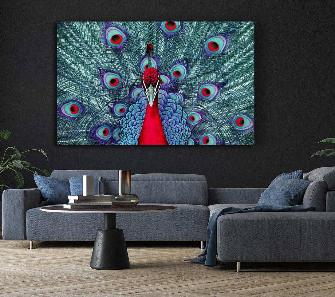  A Canvas Print of Peacock Beauty Canvas Wall Art