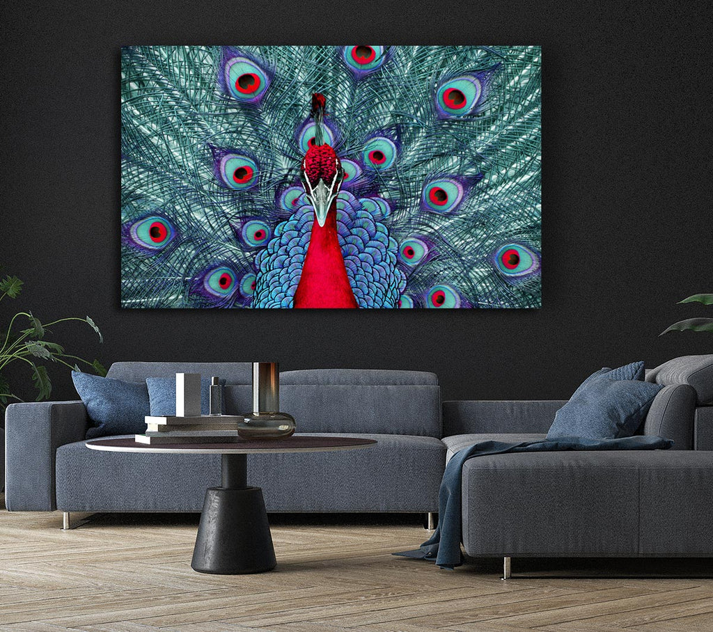 Picture of Peacock Beauty Canvas Print Wall Art