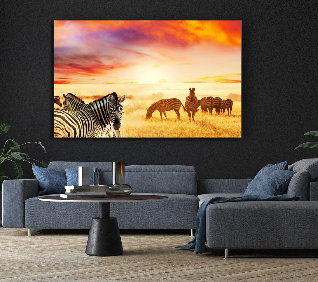 Picture of Zebra Sunset Safari Canvas Print Wall Art