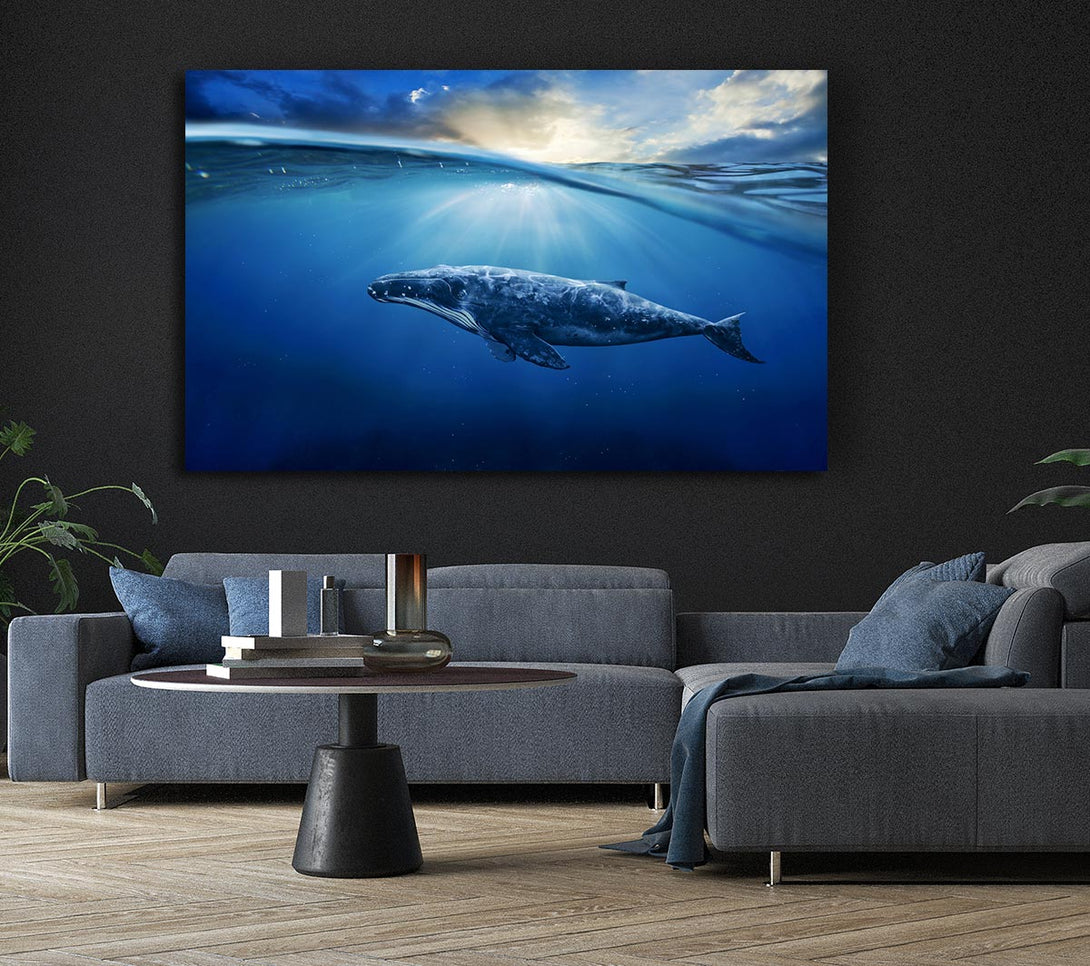  A Canvas Print of Ocean Whale Canvas Print
