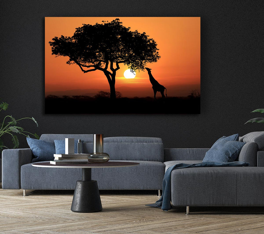  A Canvas Print of Giraffe Safari Sunset Canvas Print