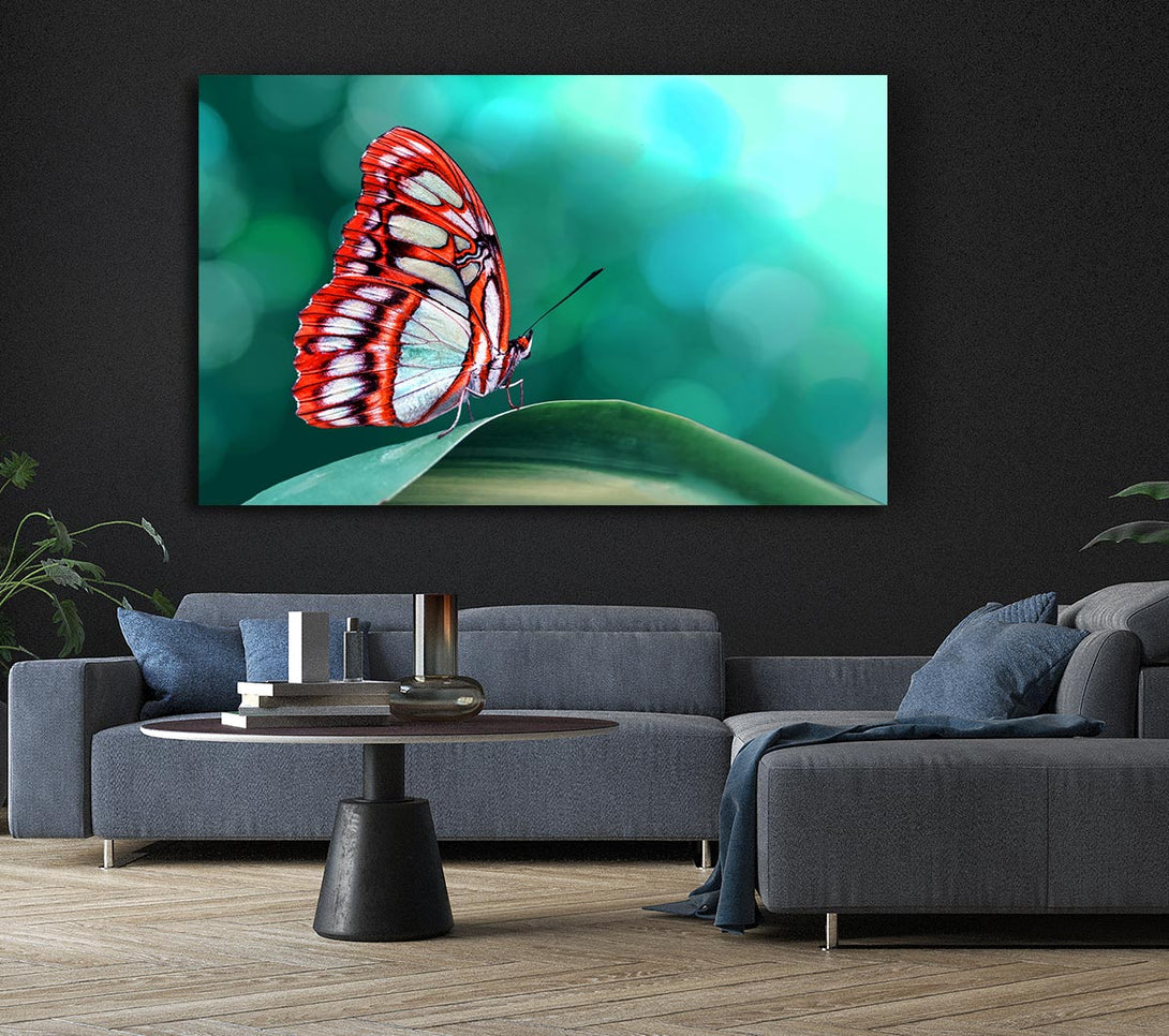  A Canvas Print of Butterfly Wings 1 Canvas Wall Art
