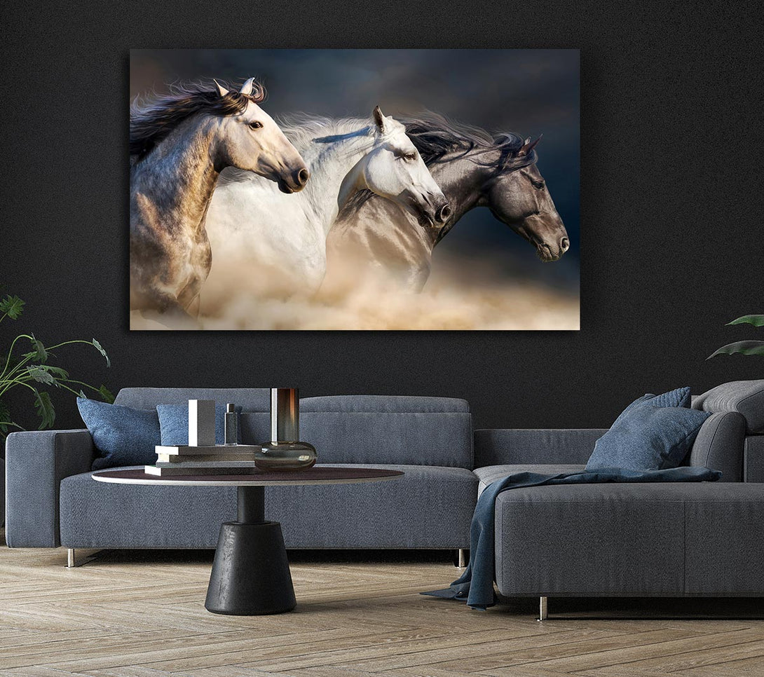 Picture of Wild Horse Trio Canvas Print Wall Art