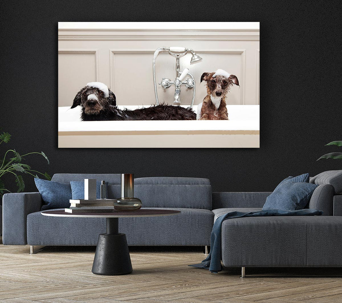  A Canvas Print of Bath Time Dogs Canvas Art