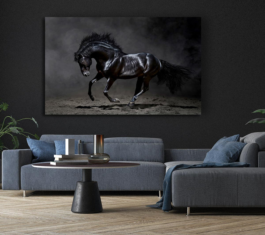 Picture of Black Beauty Horse Canvas Print Wall Art