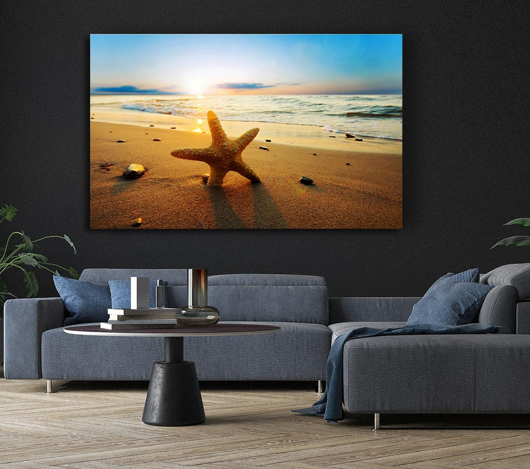 Picture of Starfish Sun Glow Canvas Print Wall Art