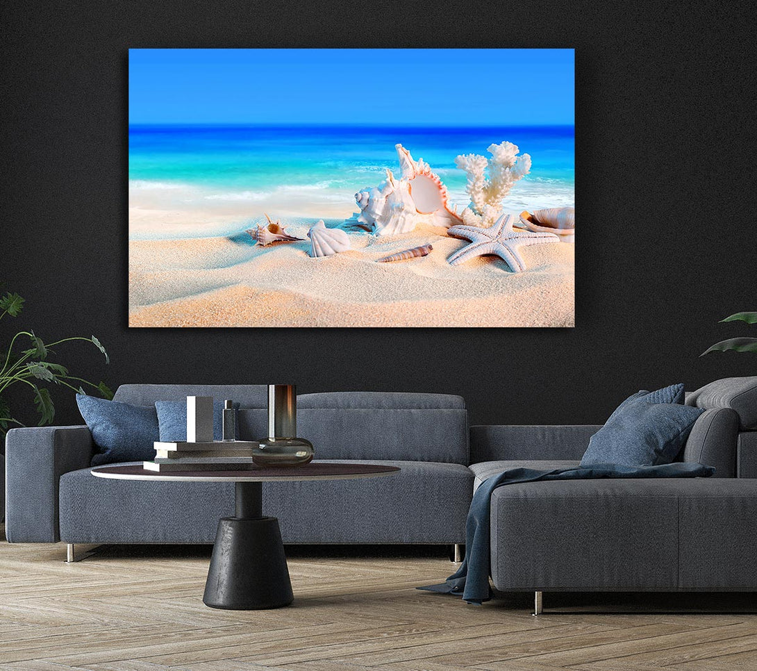  A Canvas Print of Perfect Ocean Shells Canvas Print