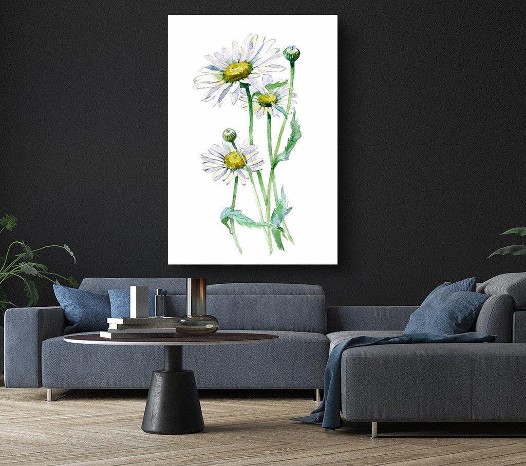 Picture of Daisy Center Canvas Print Wall Art
