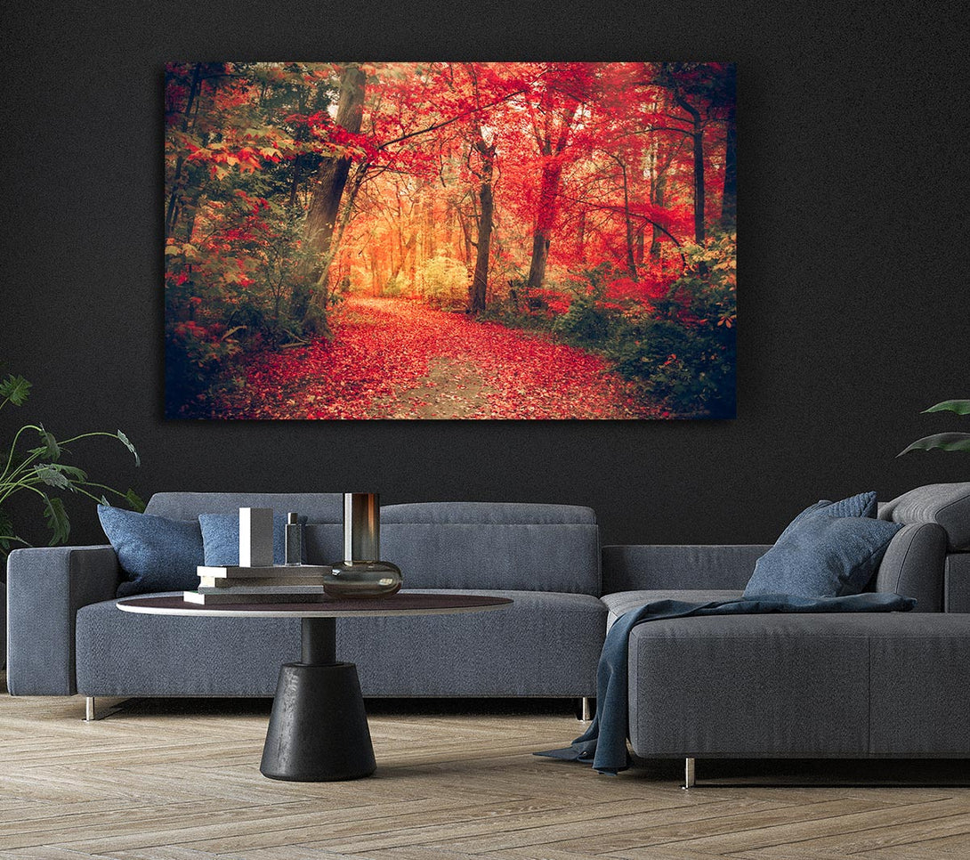 Picture of Red Tree Walk Canvas Print Wall Art