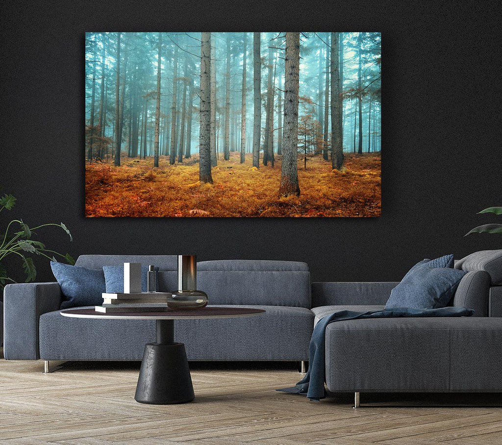 Picture of Misty Forest Glow Canvas Print Wall Art