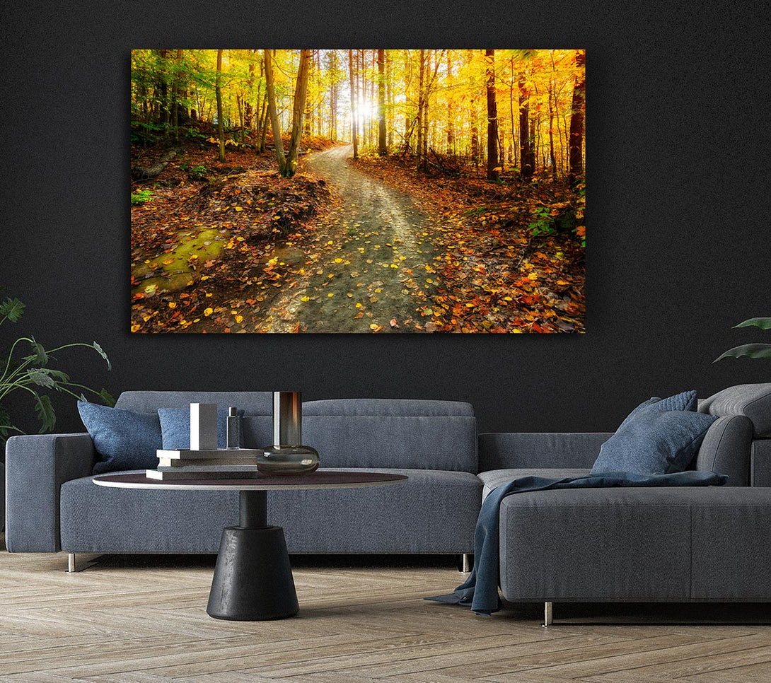 Picture of Path To The Sun 1 Canvas Print Wall Art