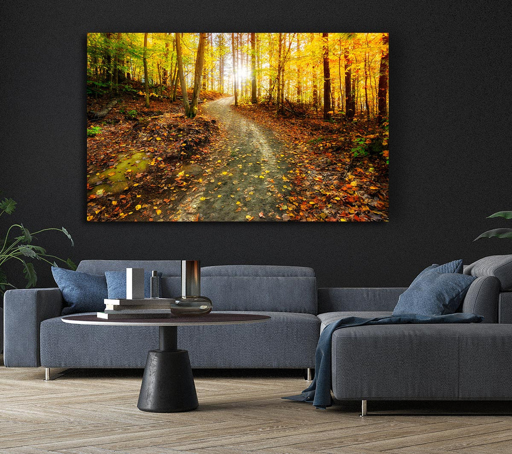 Picture of Path To The Sun 1 Canvas Print Wall Art