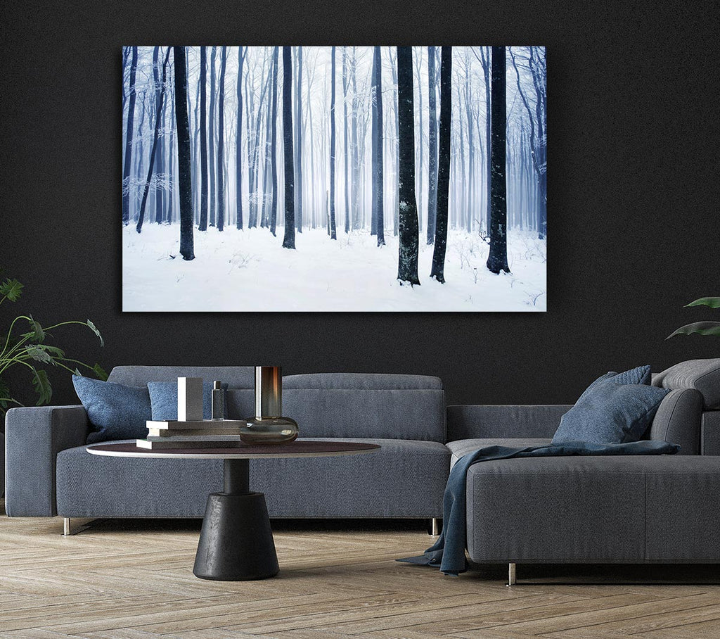 Picture of Winter Magic Canvas Print Wall Art