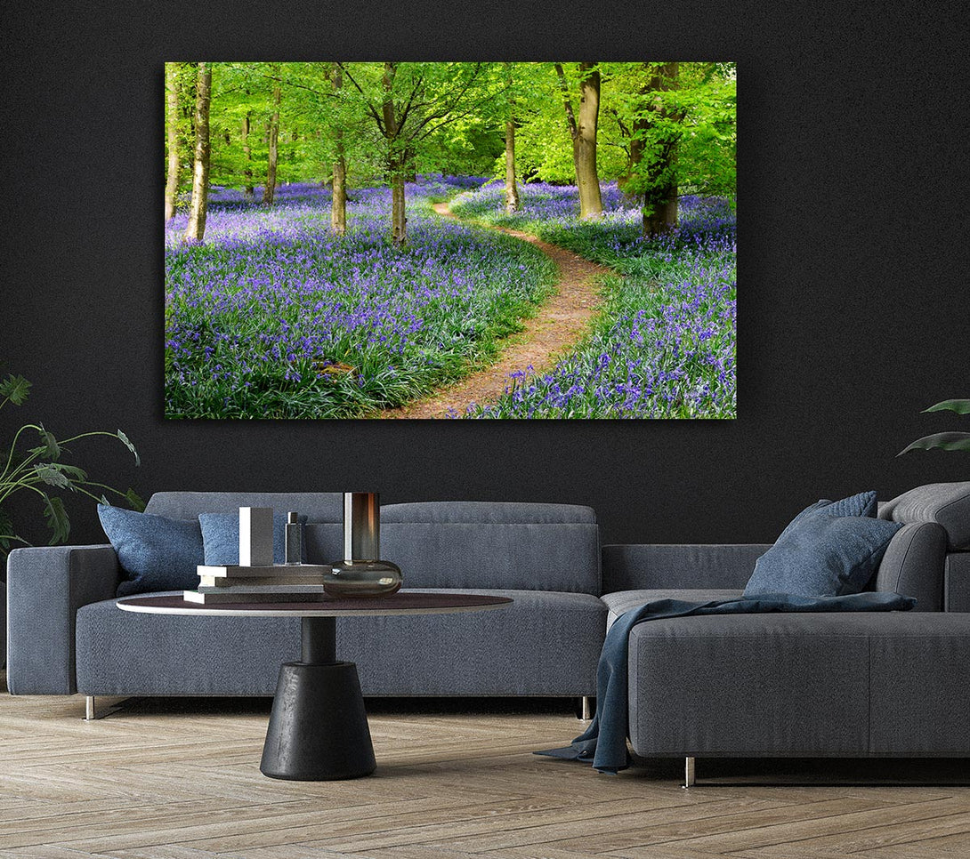  A Canvas Print of Walk Through The Bluebell Path Canvas Print