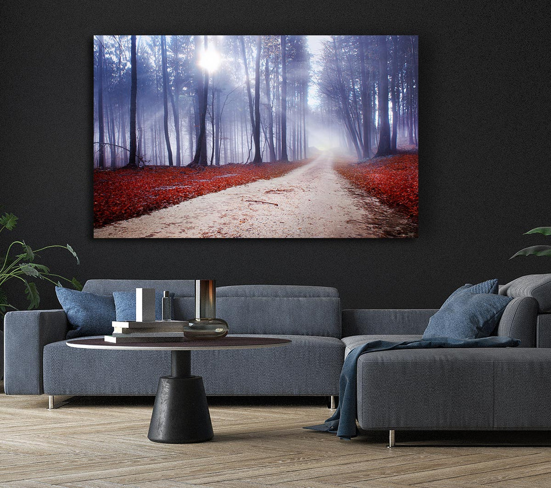 Picture of Sun Blaze Through The Mist Canvas Print Wall Art