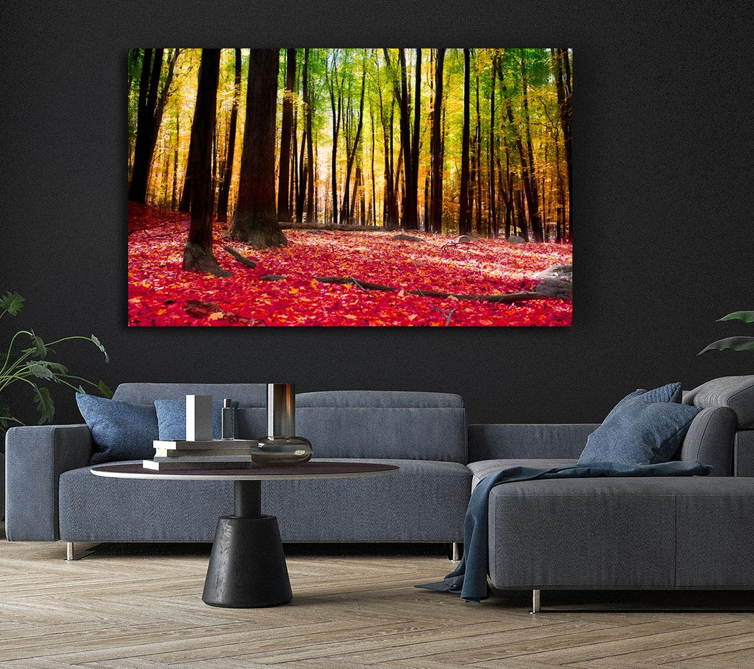 Picture of Autumn Leaves Canvas Print Wall Art