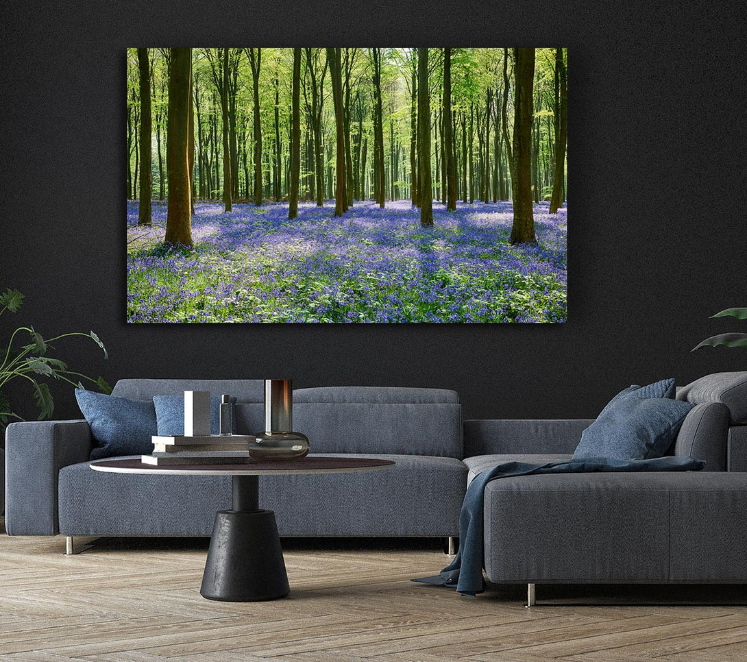 Picture of Mystical Bluebell Woodland Canvas Print Wall Art