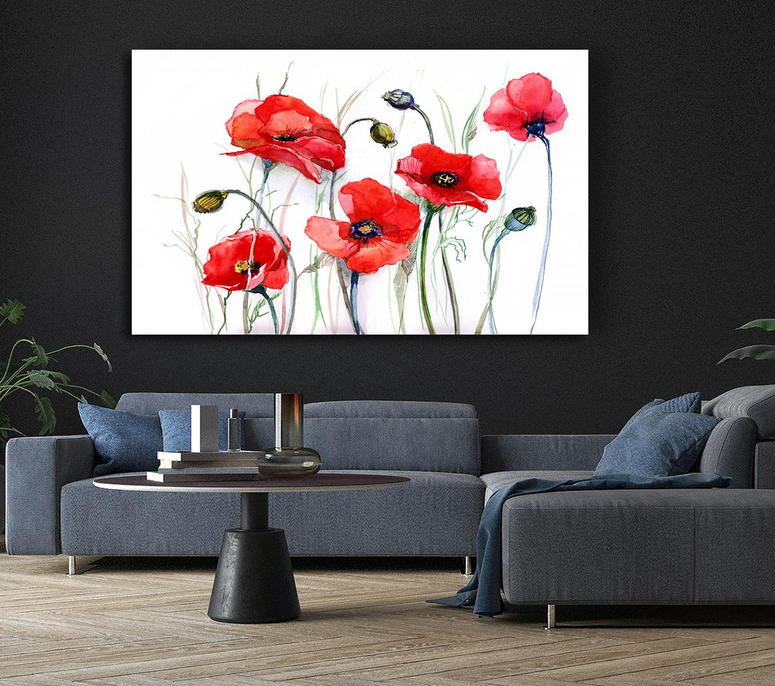 Picture of Poppy Magic Skies Canvas Print Wall Art