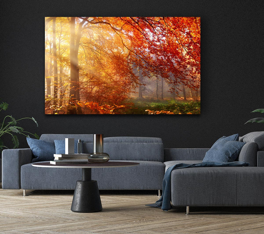 Picture of Autumn forest sunrays Canvas Print Wall Art