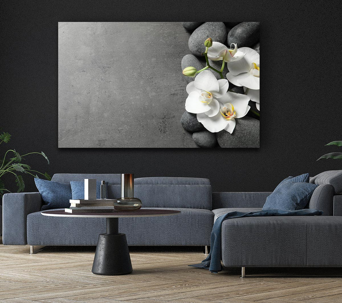 Picture of White Orchid on grey pebbles Canvas Print Wall Art