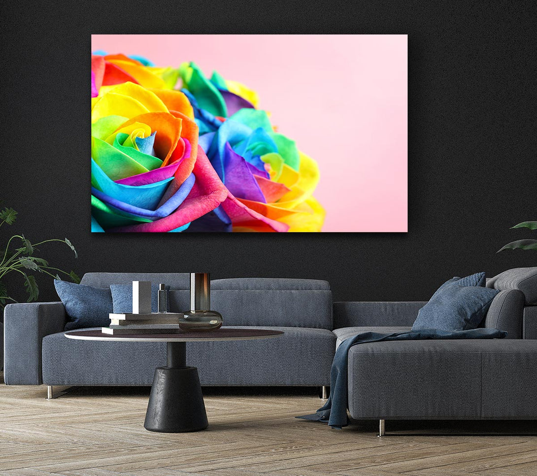  A Canvas Print of Rainbow closeup rose Canvas Wall Art