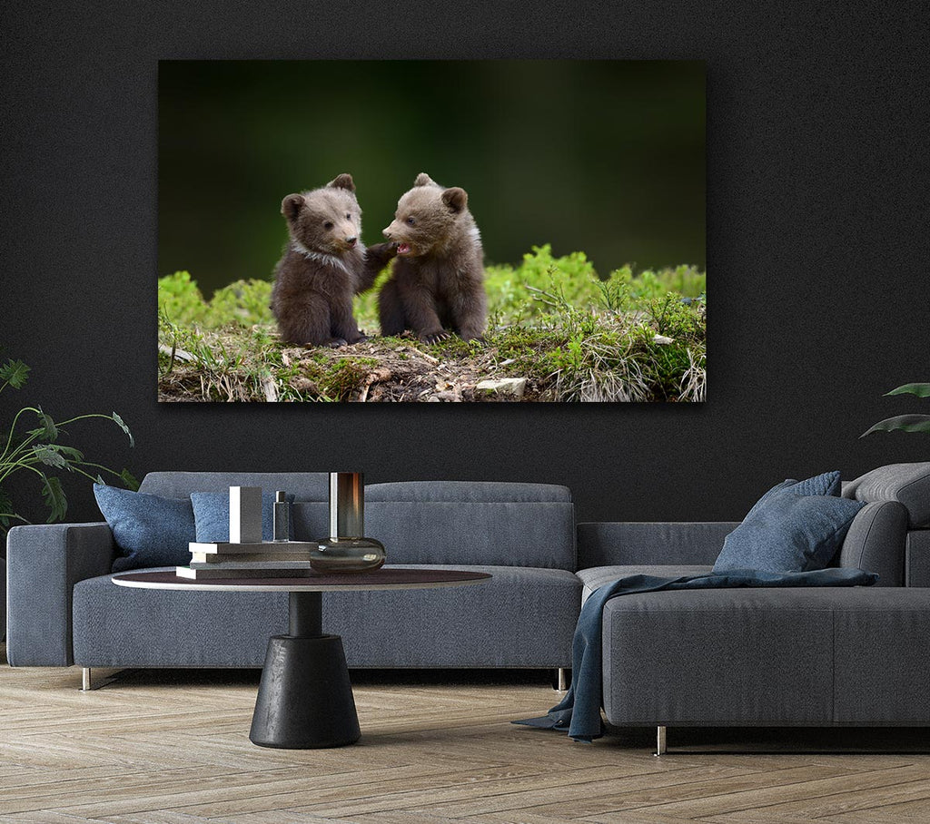 Picture of Two bear cubs playing Canvas Print Wall Art