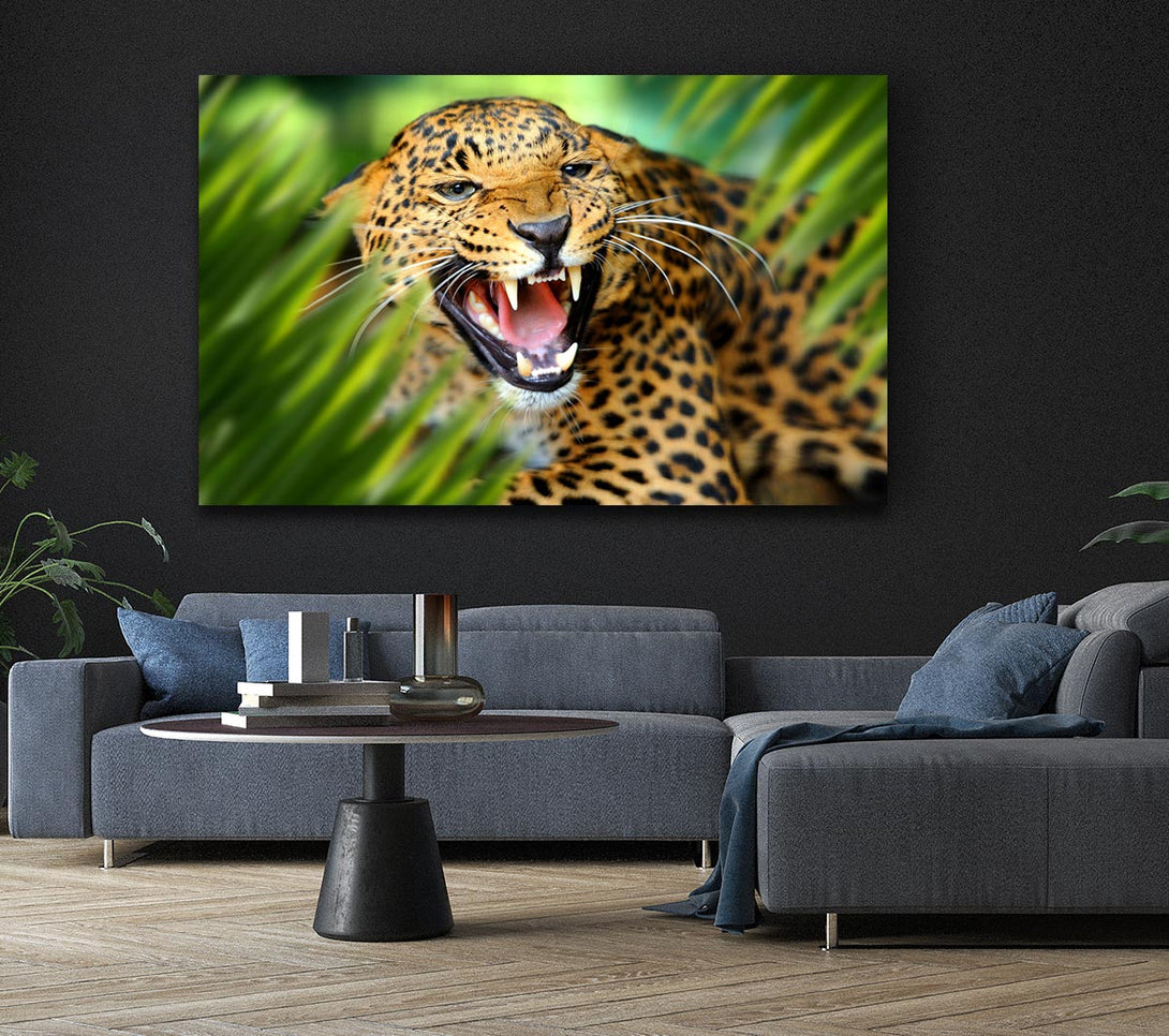 Picture of Fierce leopard in the grass Canvas Print Wall Art
