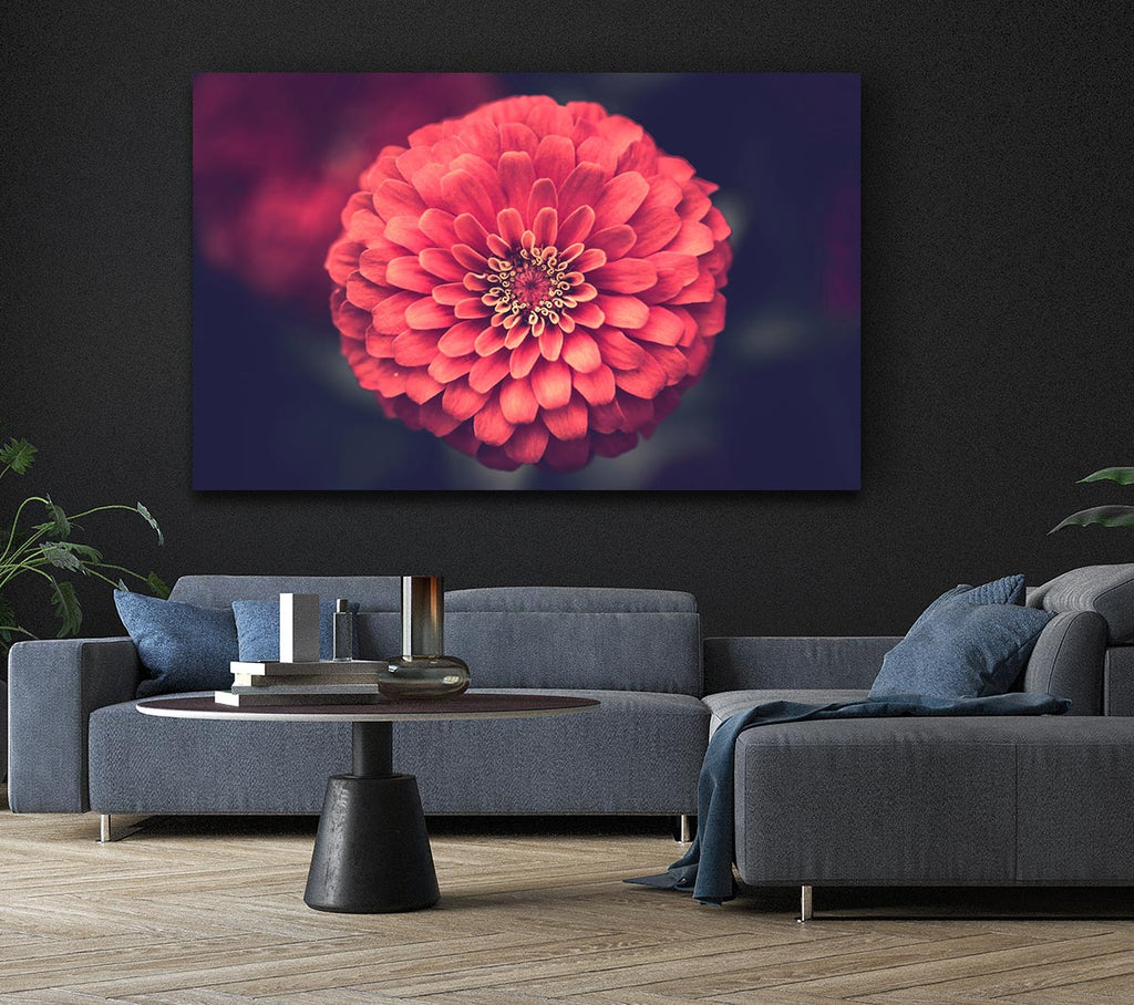 Picture of Circular flower perfectly balanced Canvas Print Wall Art