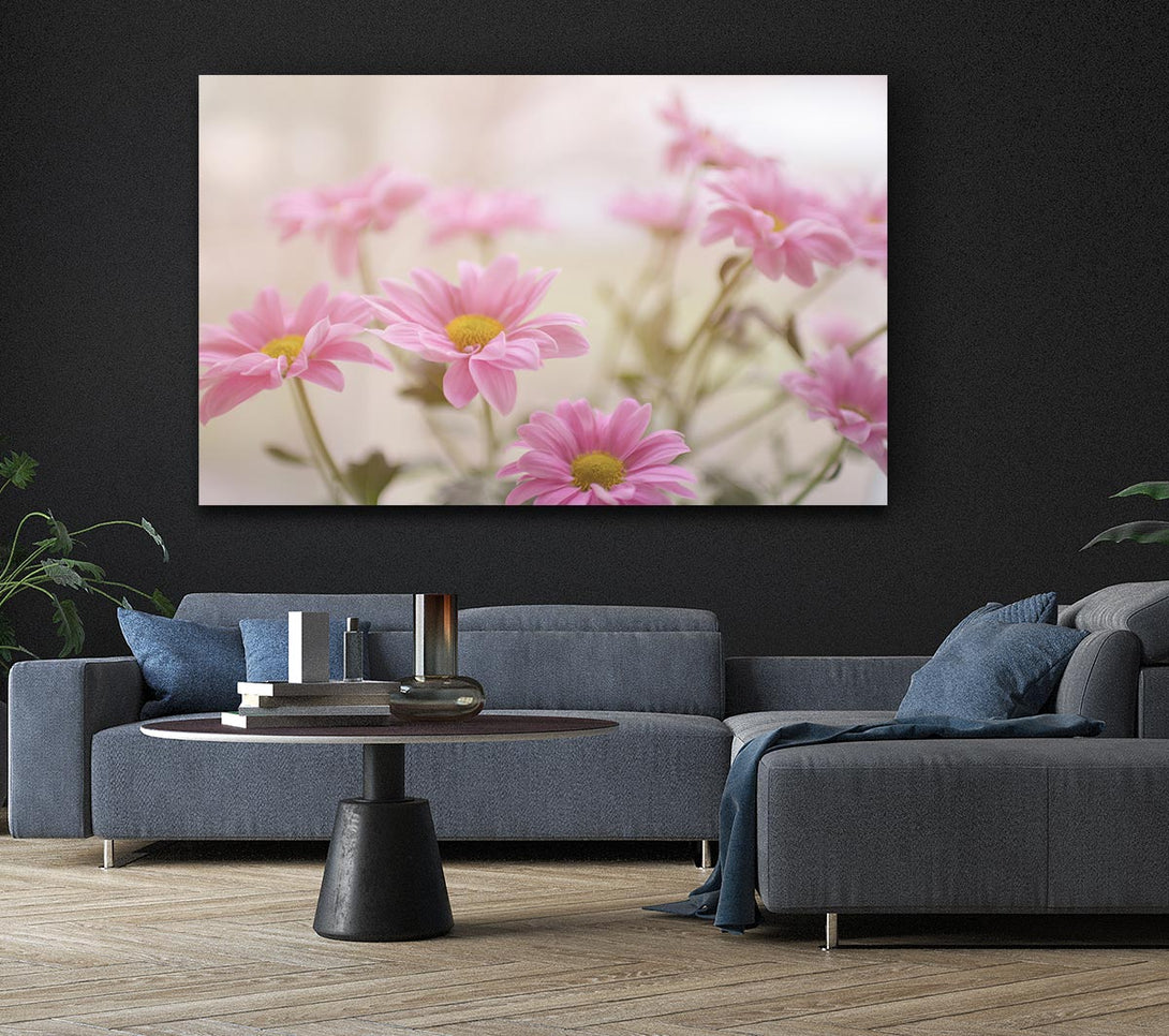 Picture of Pink flowers in soft light Canvas Print Wall Art