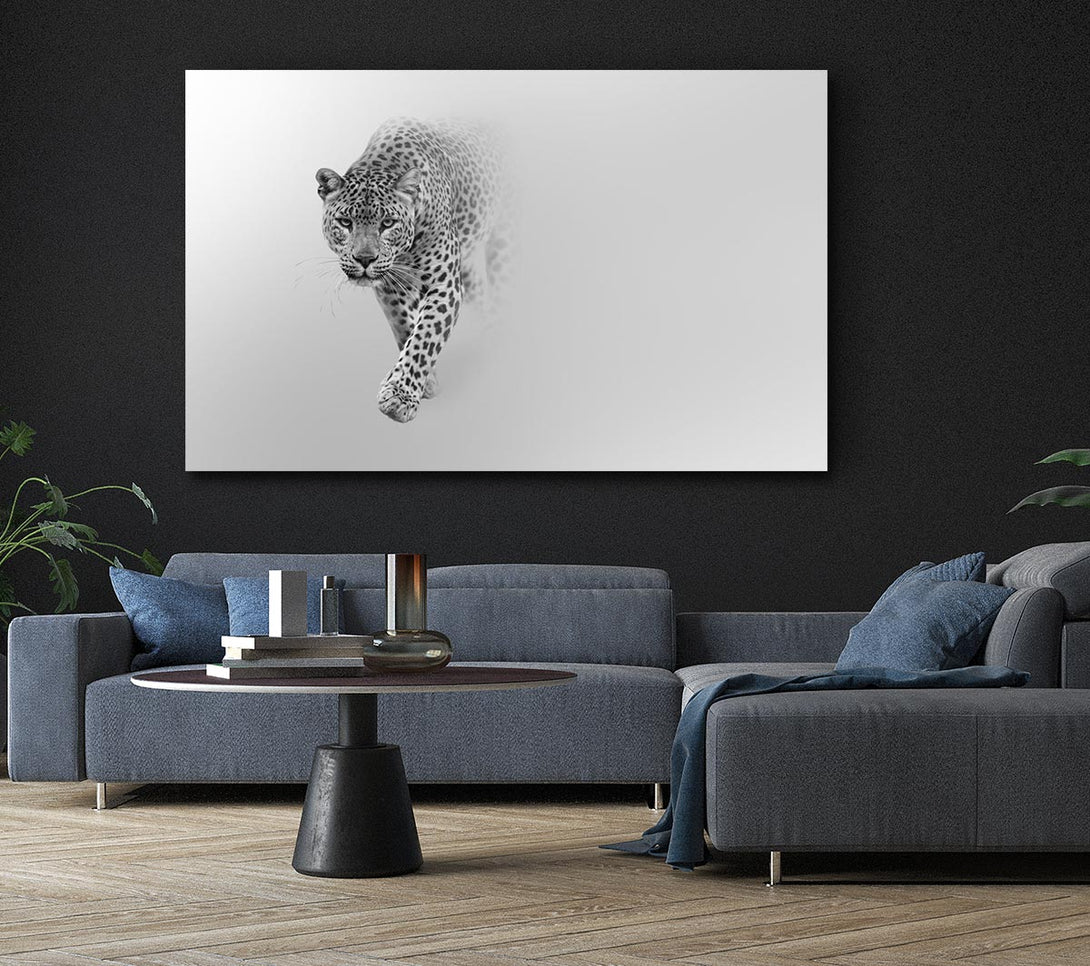  A Canvas Print of Leopard In The Mist Canvas Wall Art