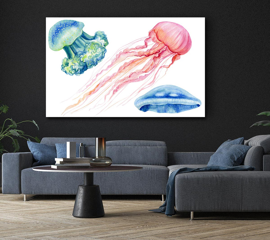 Picture of The Jellyfish Of The Sea Canvas Print Wall Art