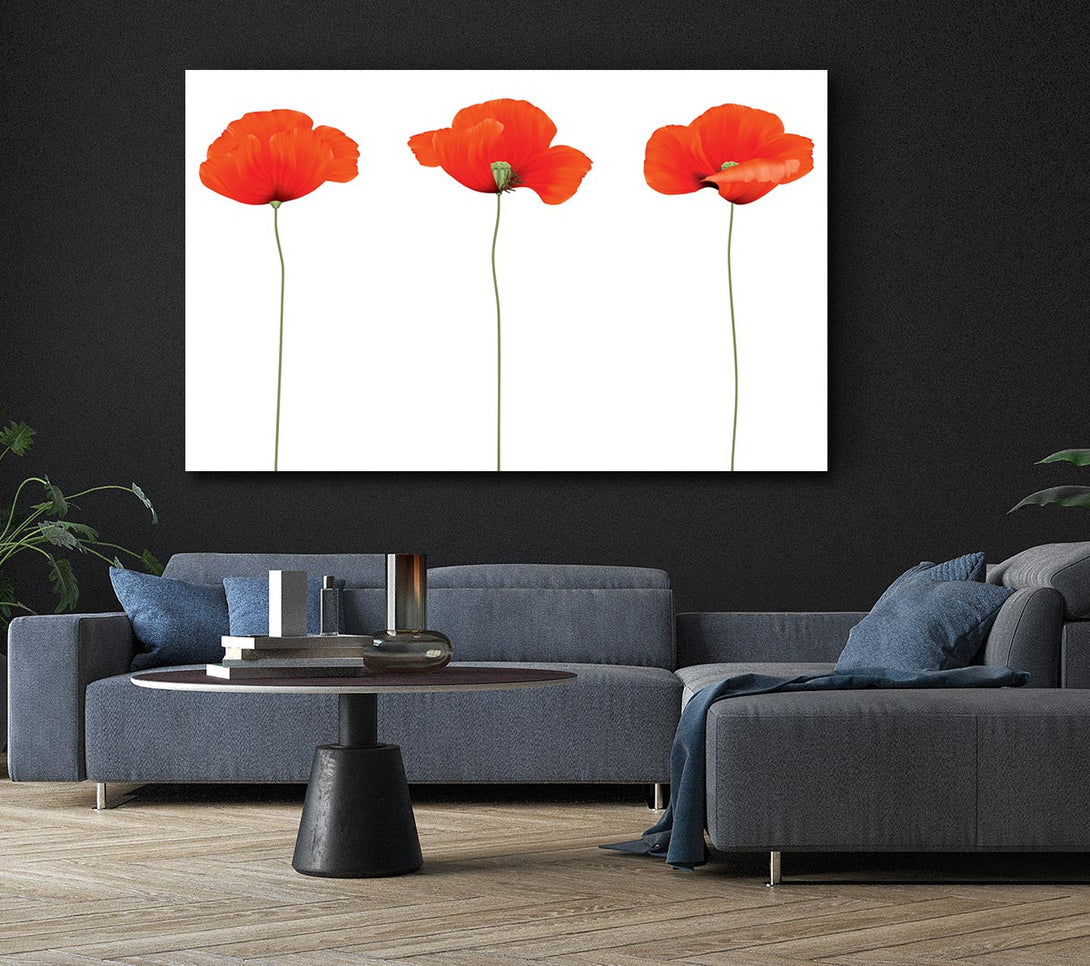 Picture of Three Poppies Standing Canvas Print Wall Art