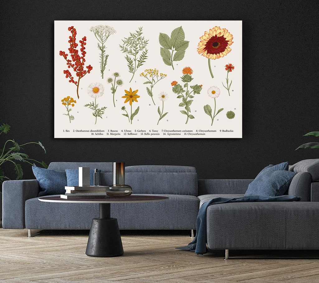 Picture of Flower Illustration Handrawn Canvas Print Wall Art