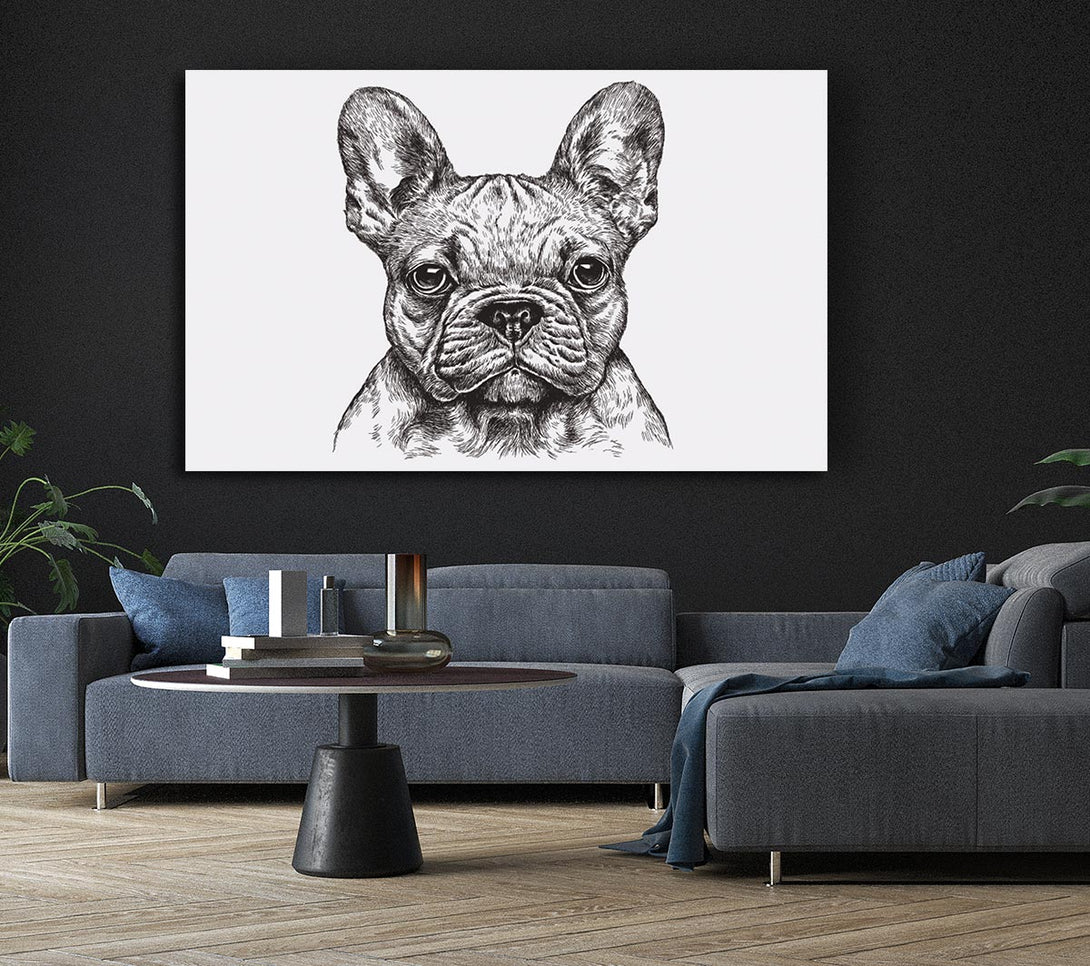  A Canvas Print of French Bulldog Sketch Canvas Wall Art
