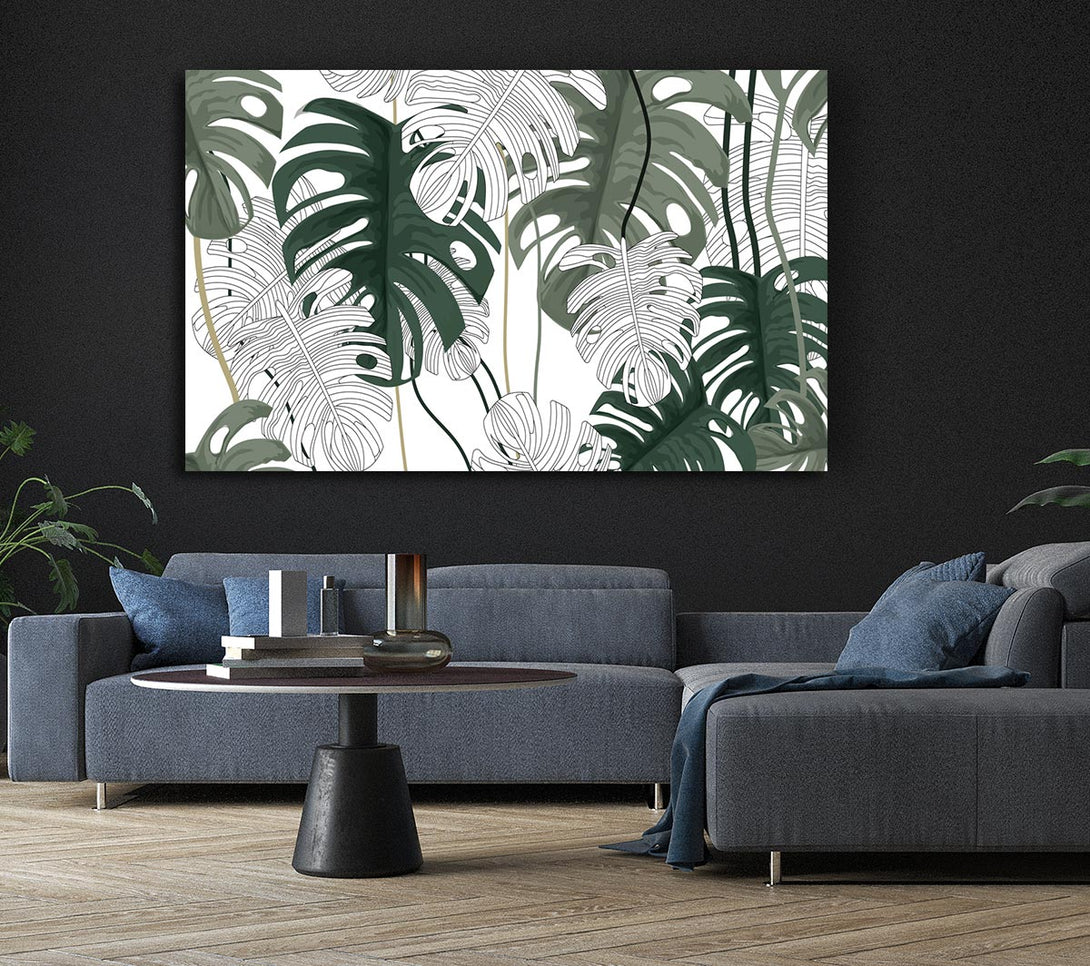 Picture of Cheese Plant Leaves Canvas Print Wall Art