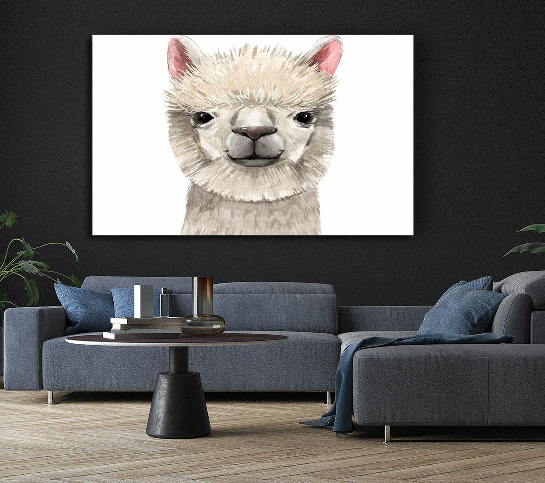  A Canvas Print of Llama Drama Canvas Print