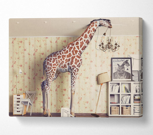 Giraffe In The House