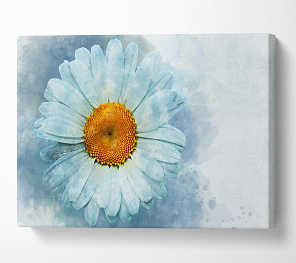 Aquarell Gänseblümchen Schönheit