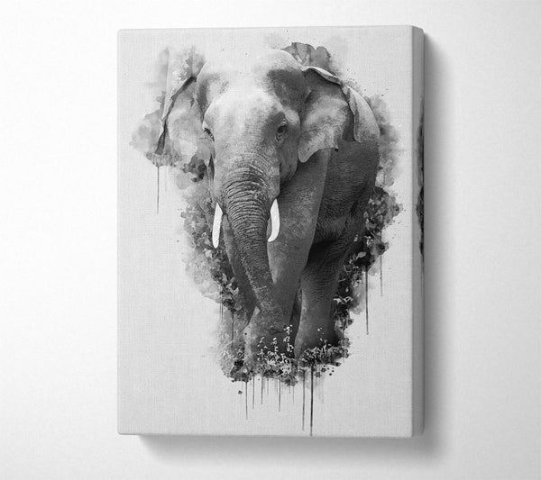 Elephant Splash Watercolour