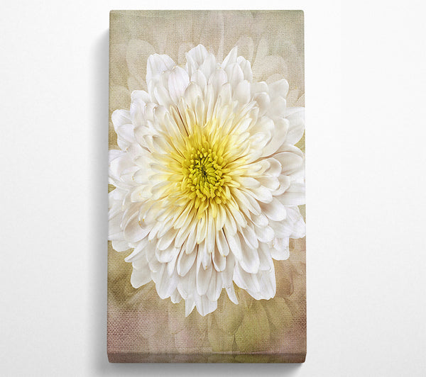 Schöne gelbe Blume in der Mitte