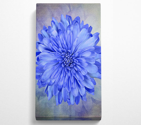 Schöne blaue Blume in der Mitte