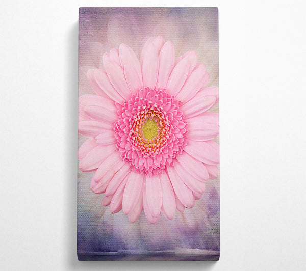 Rosa Blütenschönheit