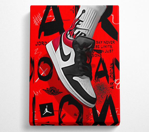 Jordan Schuhe