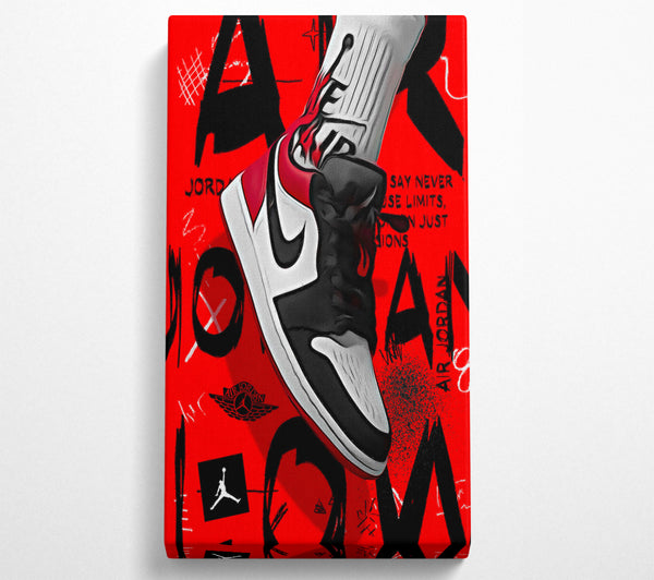 Jordan Schuhe